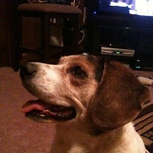 Meet your Posher, Scott